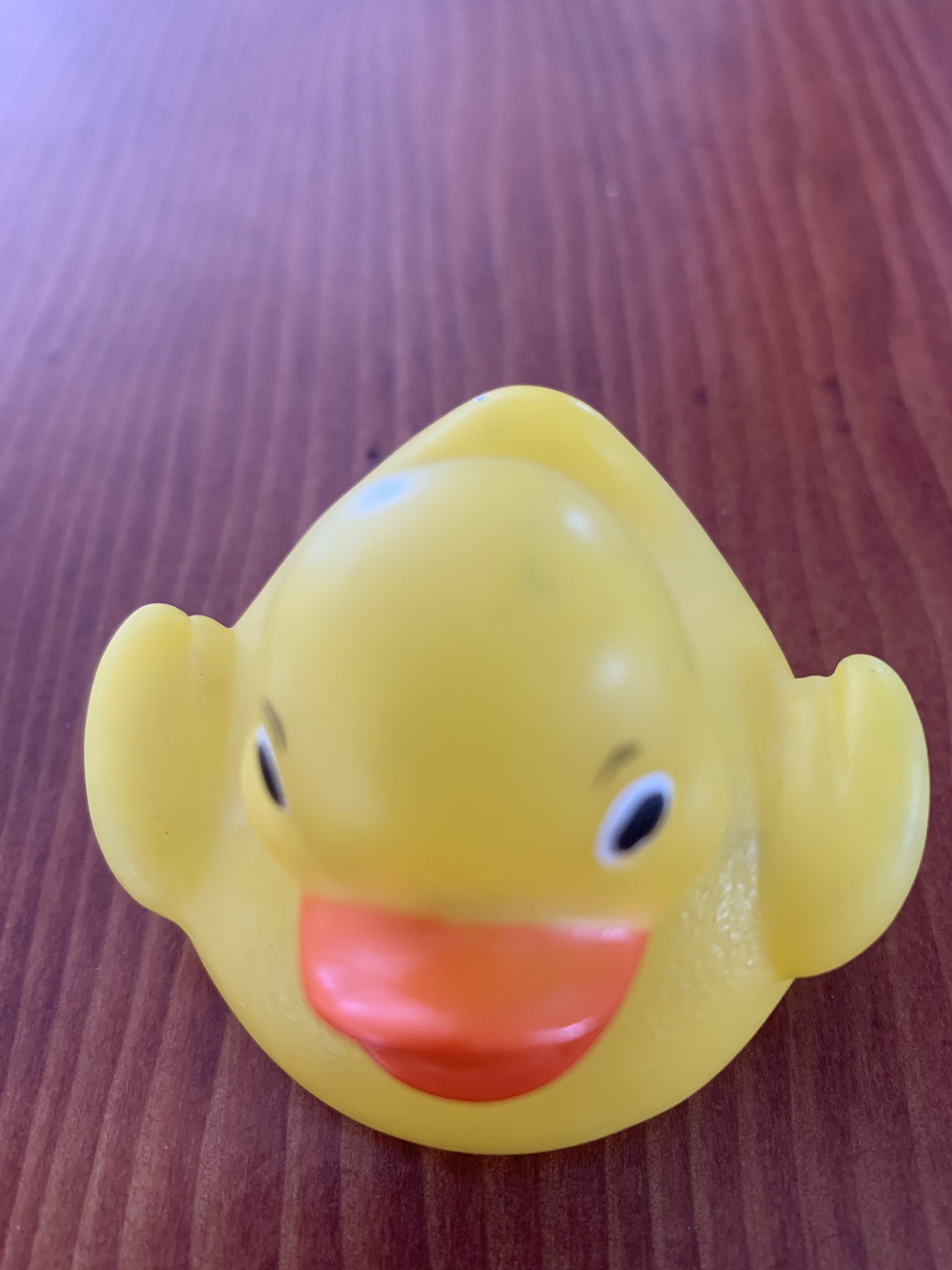 The jpg image of the challenge A rubber duck image given in the challenge