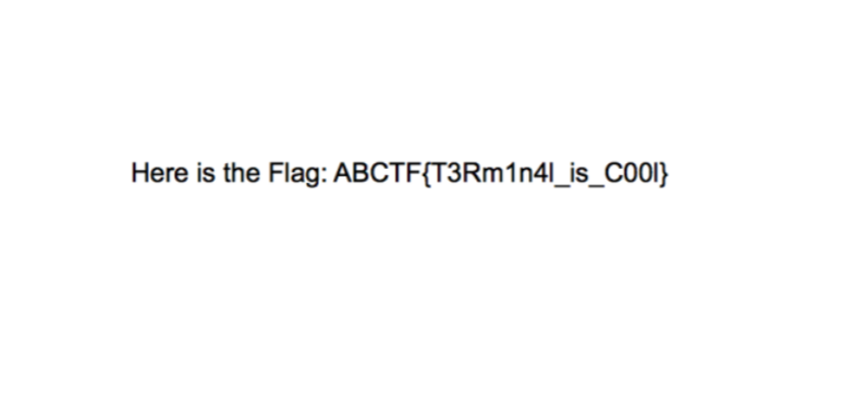 The decrypted pdf file with the flag